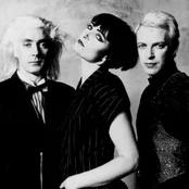 Siouxsie And The Banshees