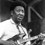 Muddy Waters