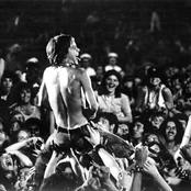 The Stooges